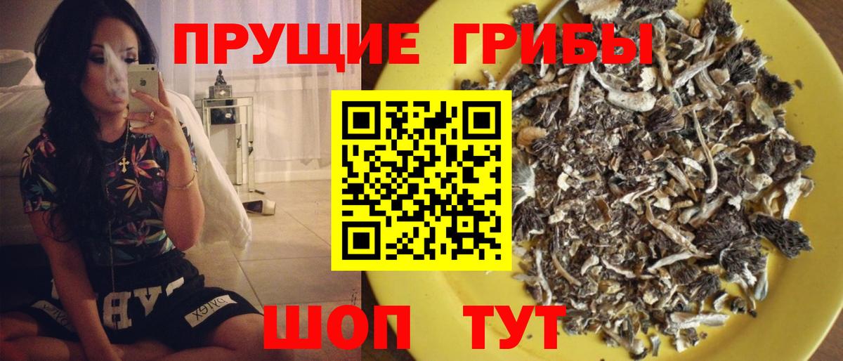 Псилоцибиновые грибы мицелий  Вход с VPN  Краснокаменск  Псилоцибиновые грибы мухоморы 